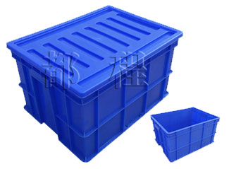 X219�������D�䣨���w���x��