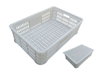 72̖ �������D�� 