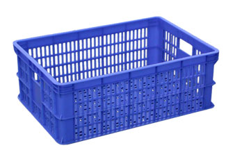 240̖ �������D��