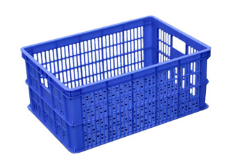 241̖ �������D��