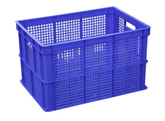 243̖ �������D��