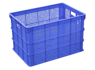 244̖ �������D��