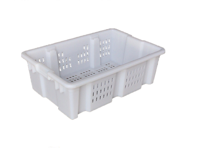 247̖ ��ɶѿ𣨿��w���x��